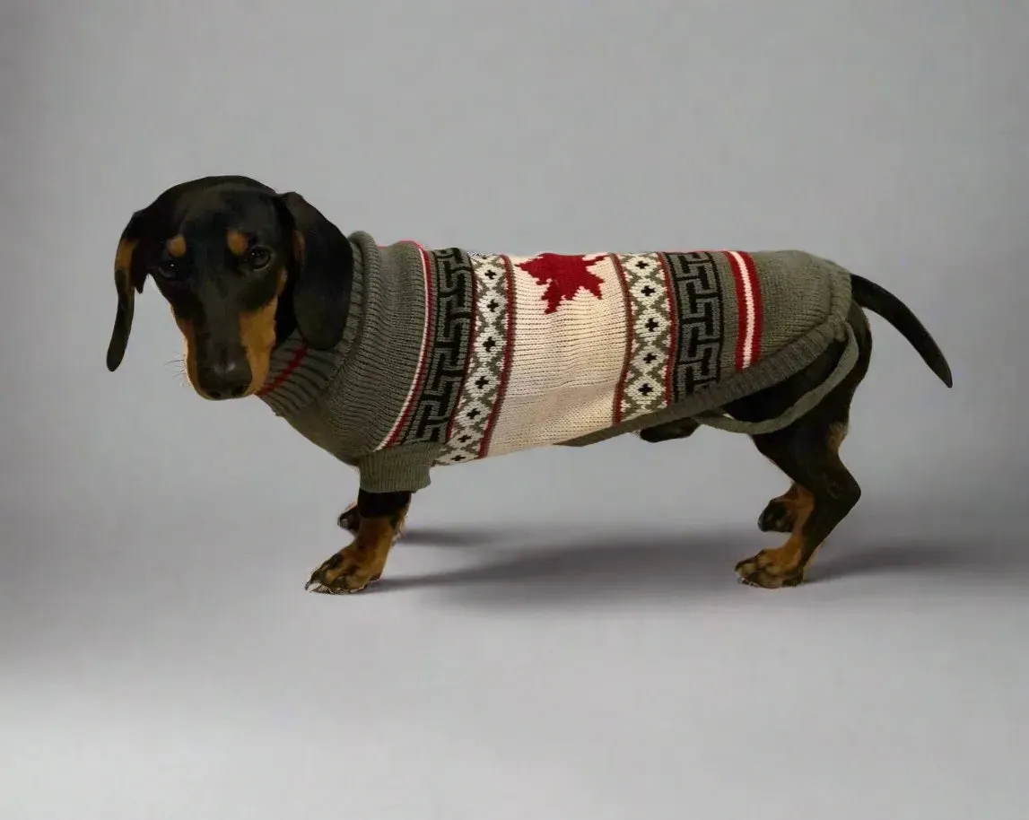 Canadian Flag Sweater for Dachshunds