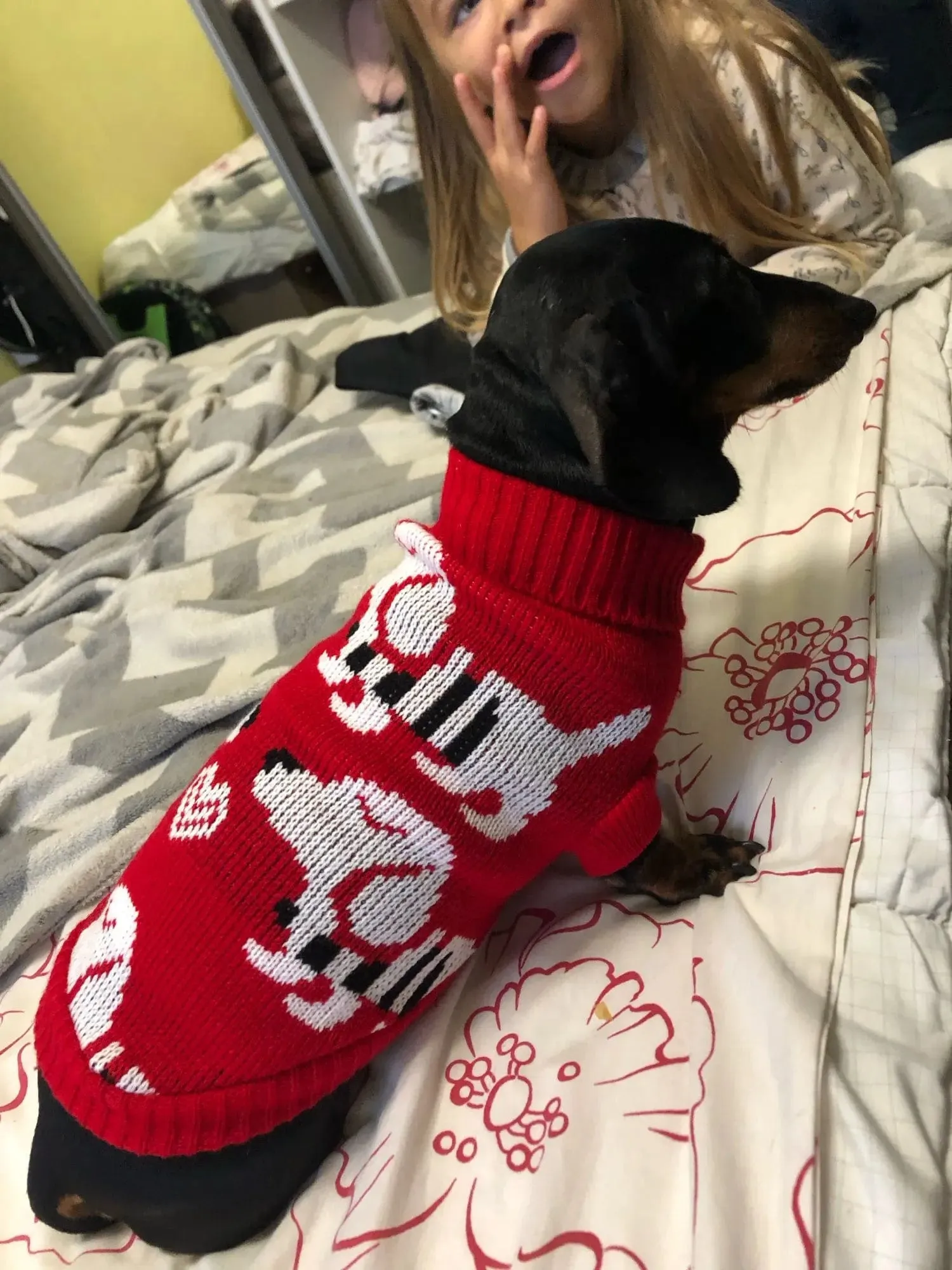 Reindeer Sweater for Sausage Dog