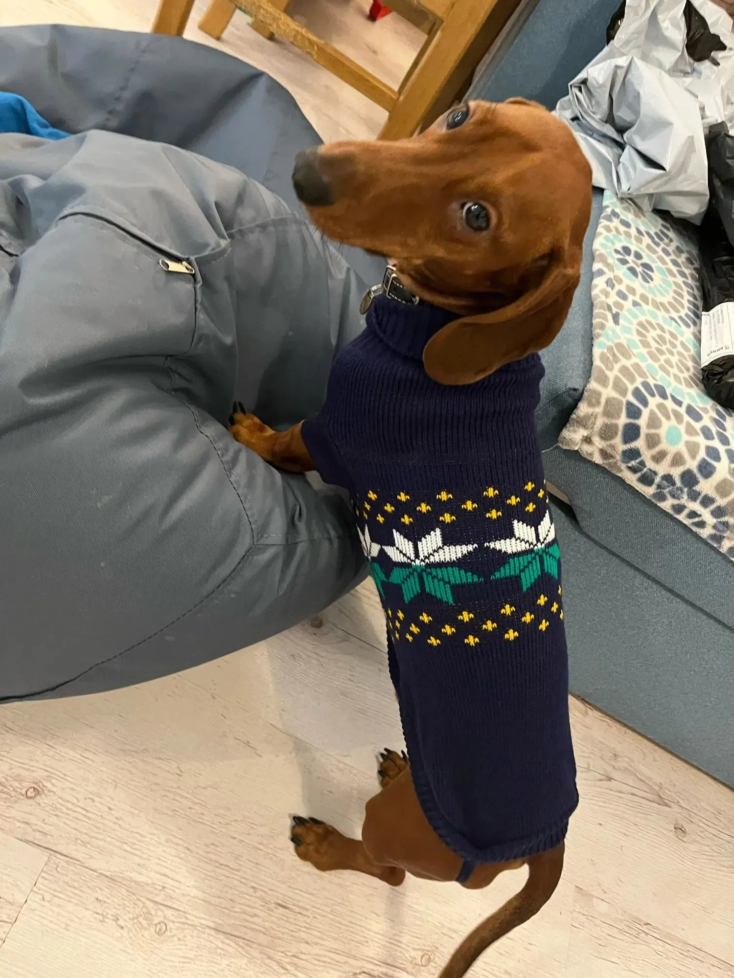Navy Sausage Dog Sweater