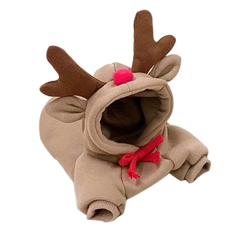 Dachshund Costumes