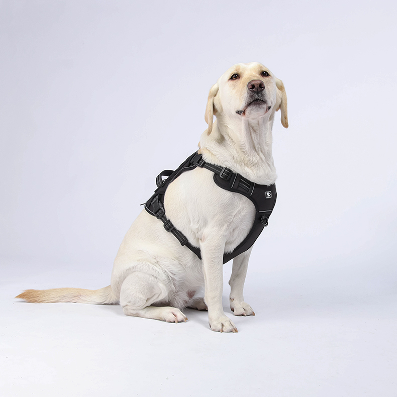Big Dog Tactical Harness  OP-H02