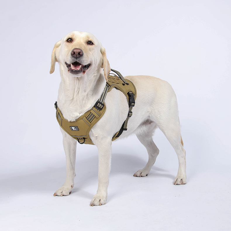 Big Dog Tactical Harness  OP-H02