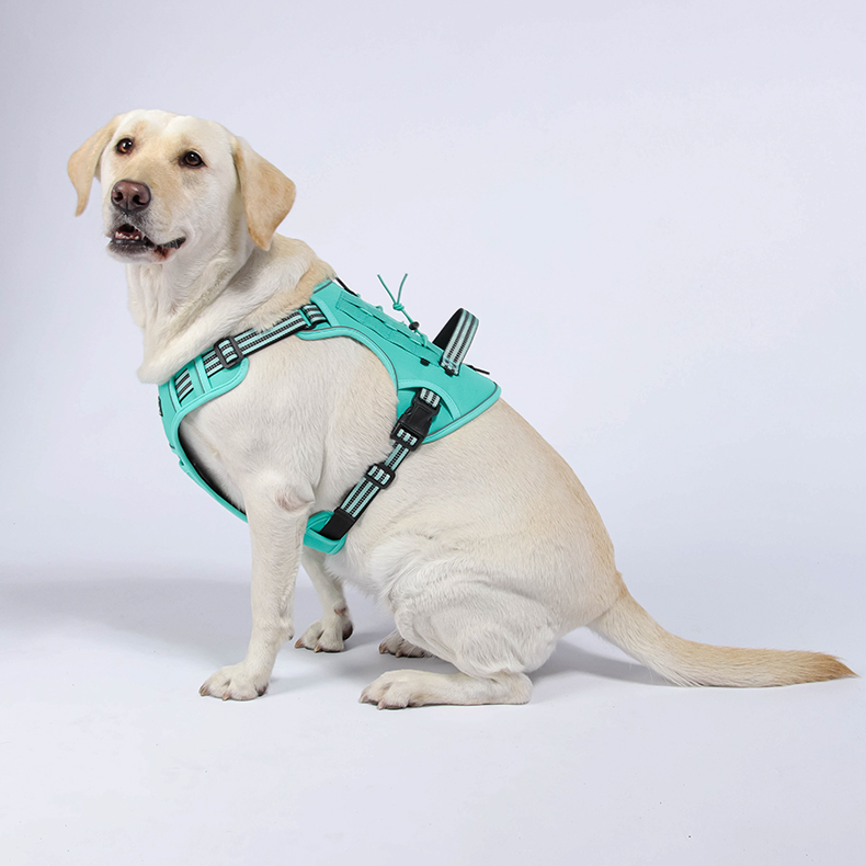 Big Dog Tactical Harness  OP-H02