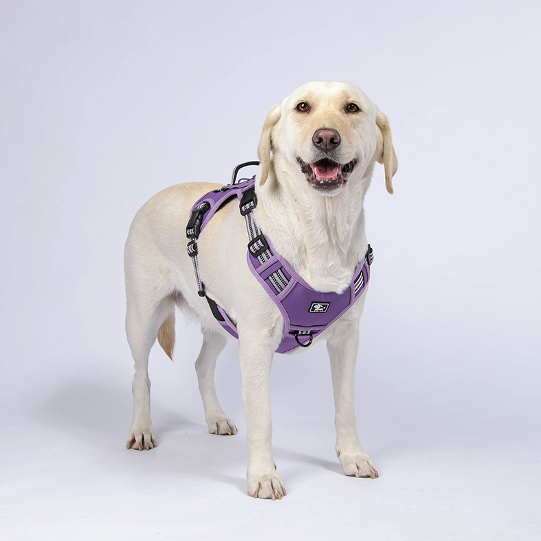 Big Dog Tactical Harness  OP-H02