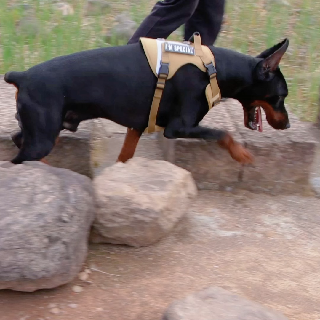 Tactical U-shaped Harness OP-H05