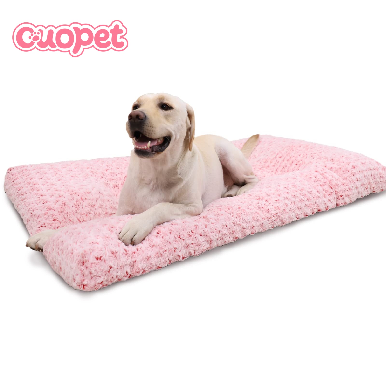 Dog Pillow Bed OP-B02