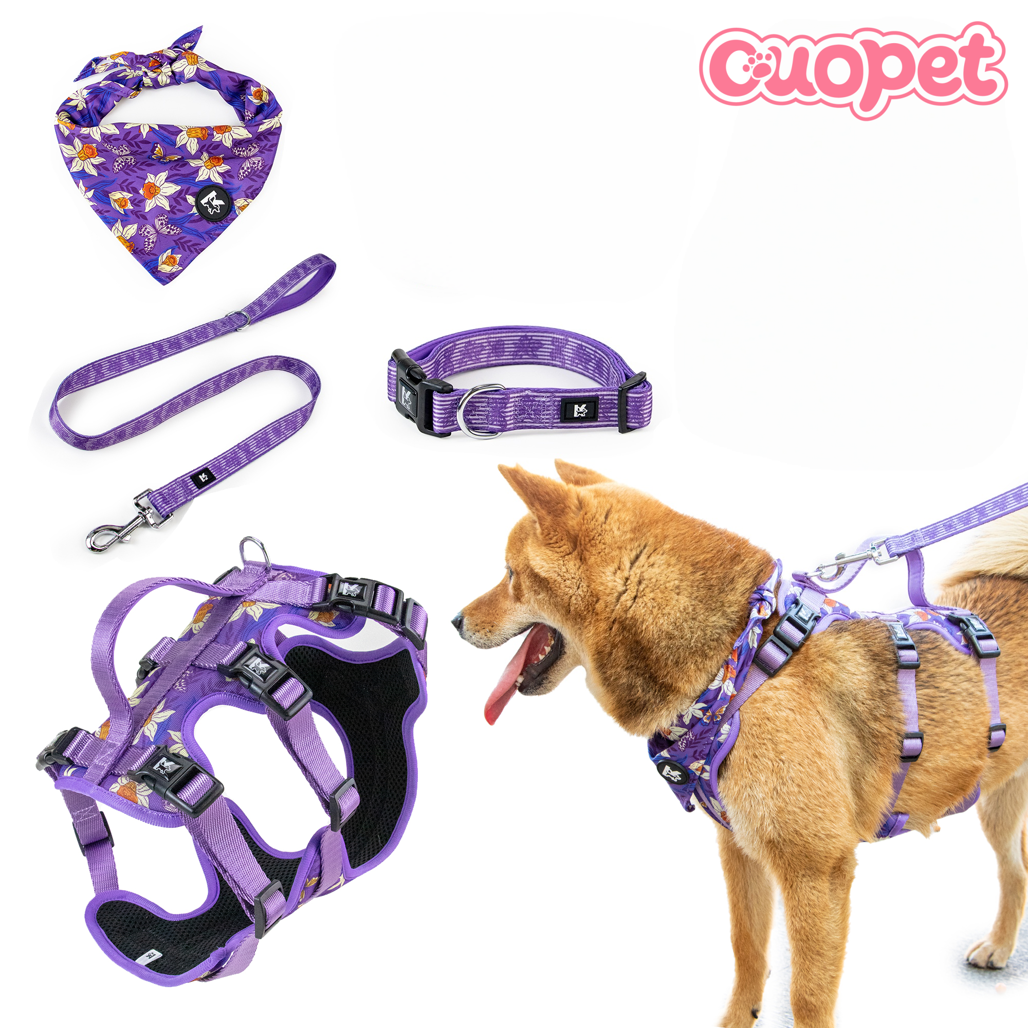 Dog Holiday Style Kit OP-K07