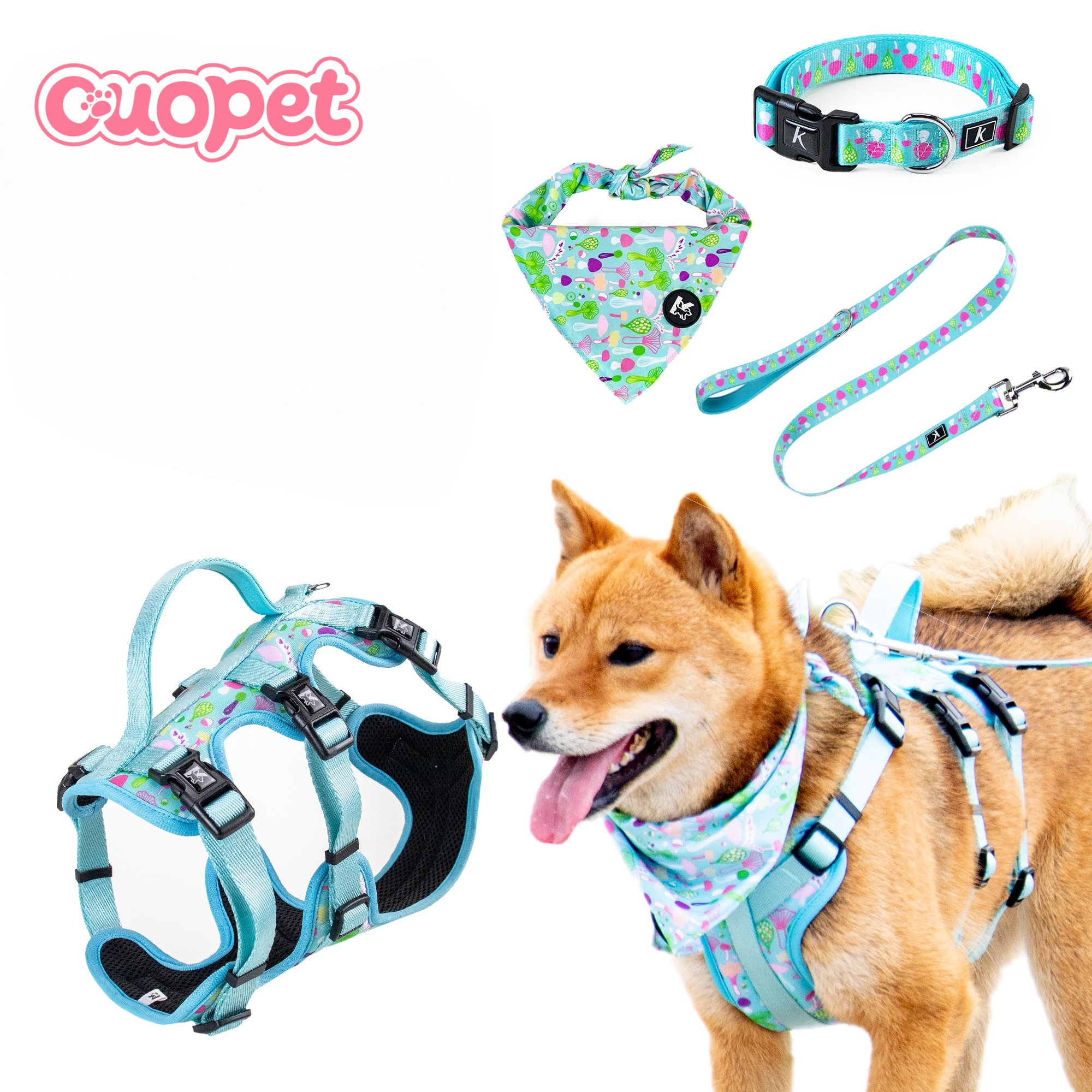 Dog Holiday Style Kit OP-K07