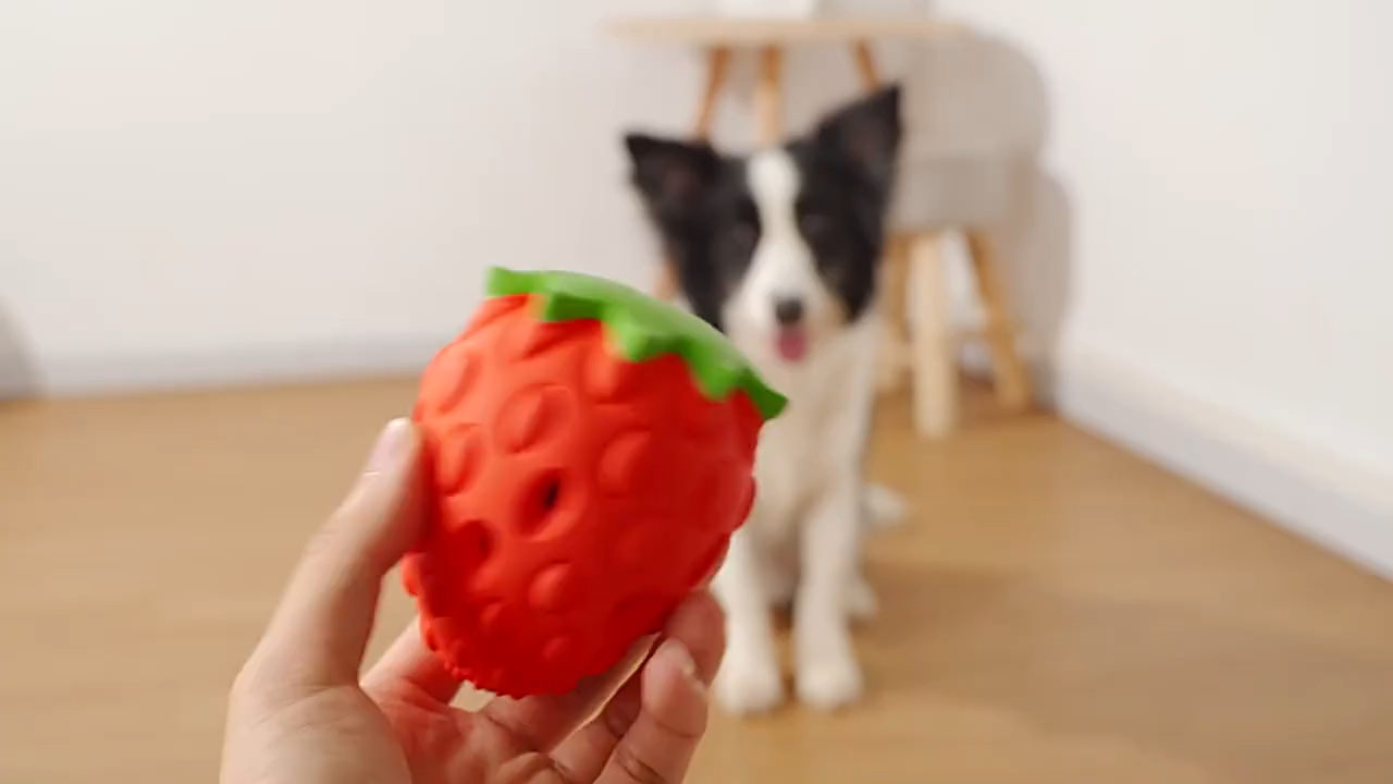 Dog Strawberry OP-T09