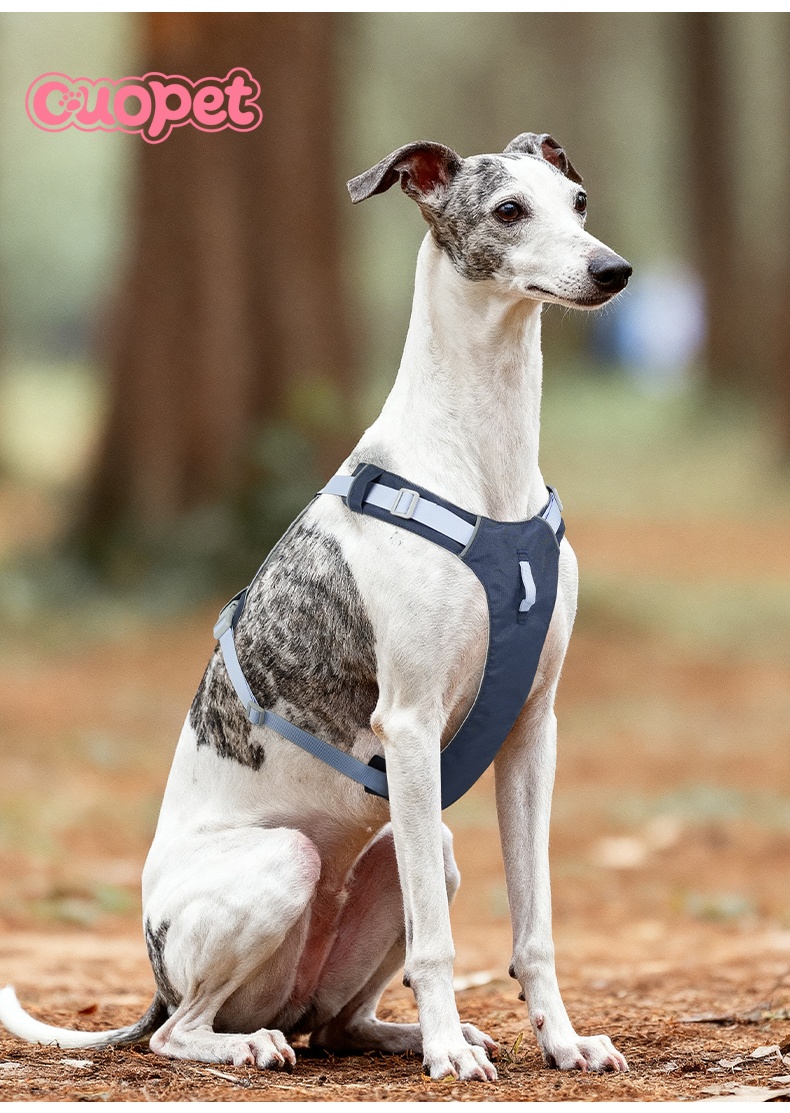 Dog Light Cool Harness OP-H07