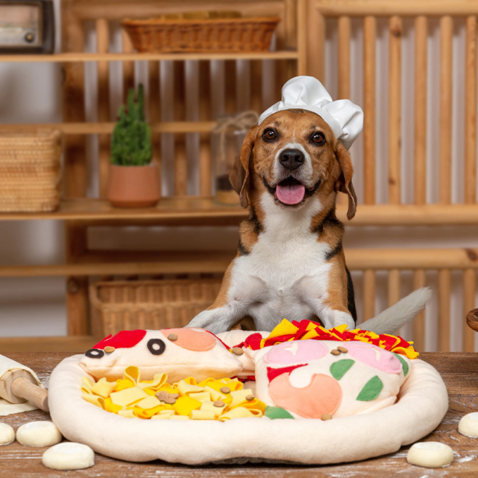 Dog Pizza Toy OP-T39