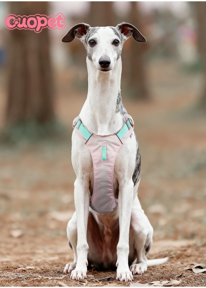 Dog Light Cool Harness OP-H07