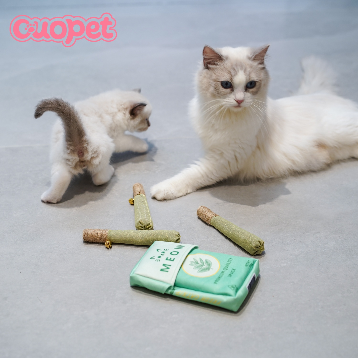 Cat Cigar Box Toy OP-T37