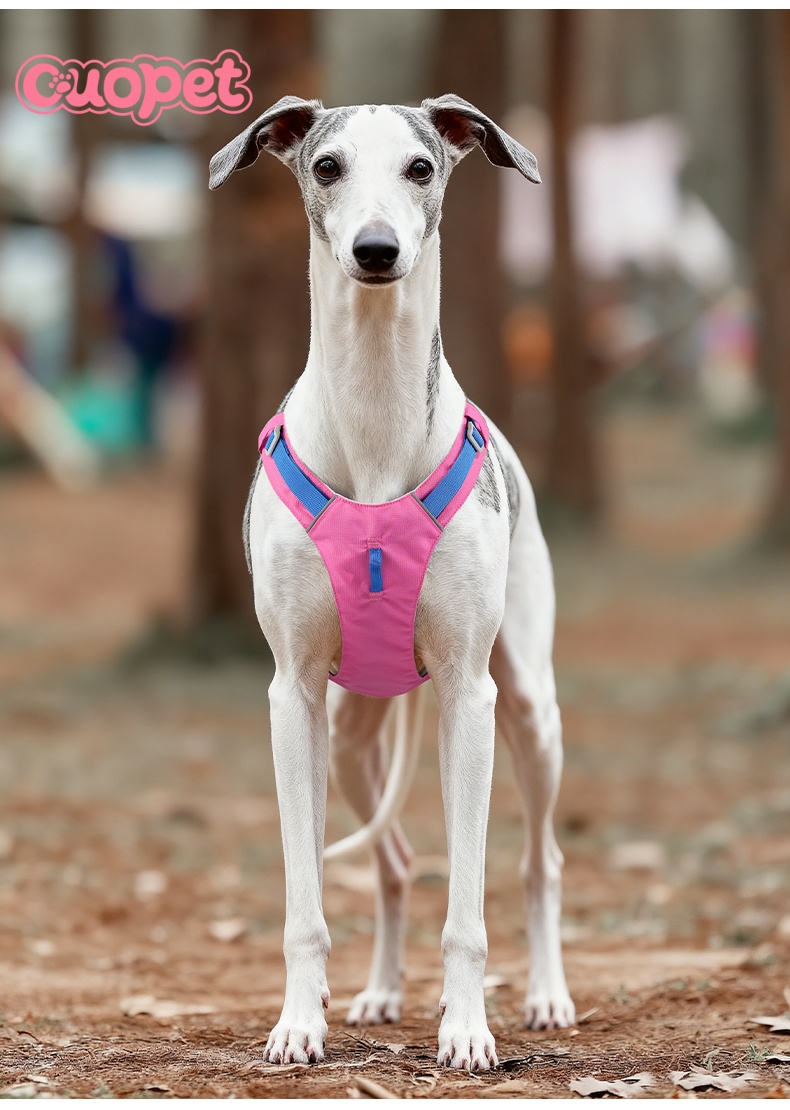 Dog Light Cool Harness OP-H07
