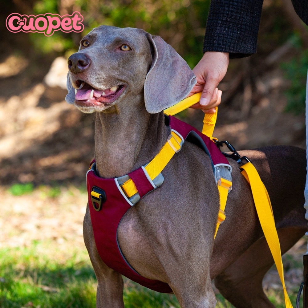 Dog Luxury Harness OP-H11
