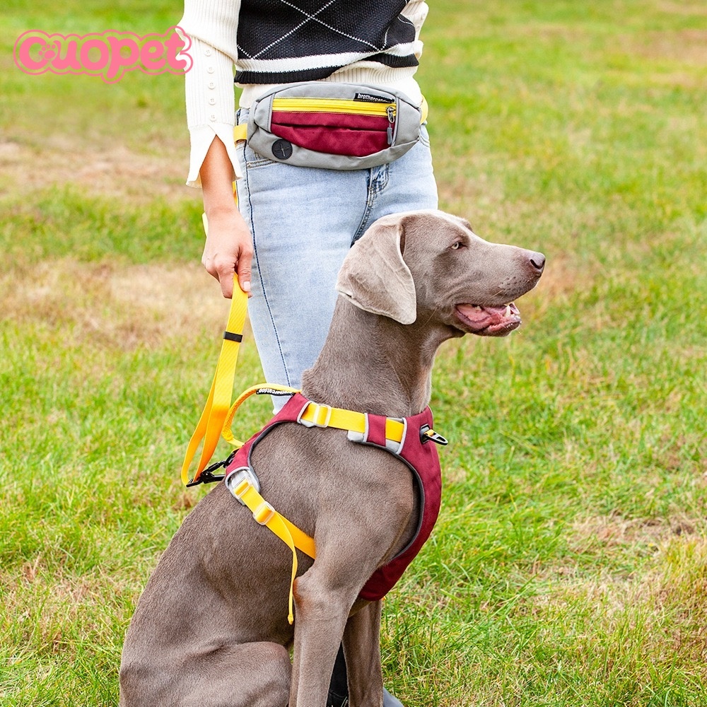 Dog Luxury Harness OP-H11