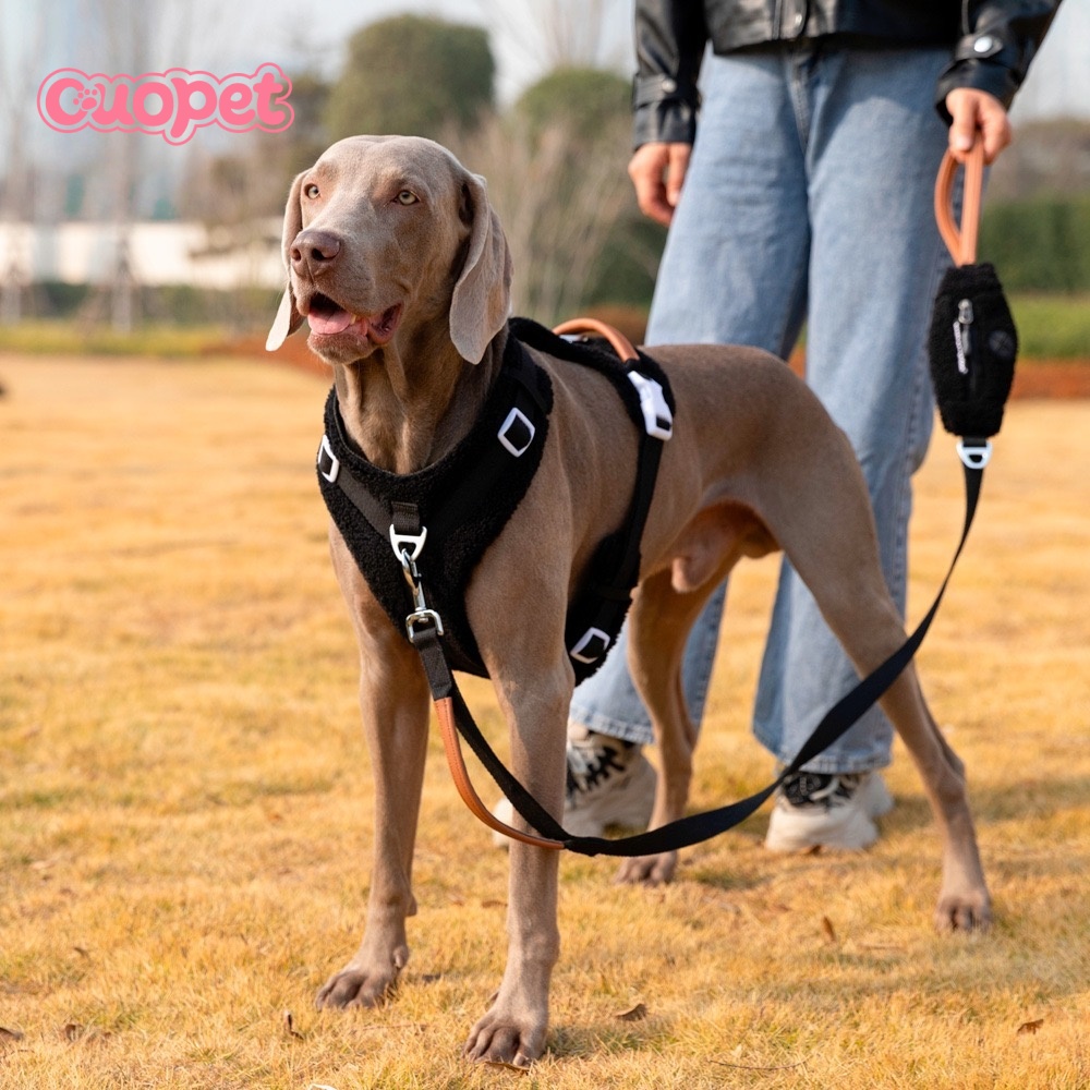 Dog Cartoon Harness OP-H09