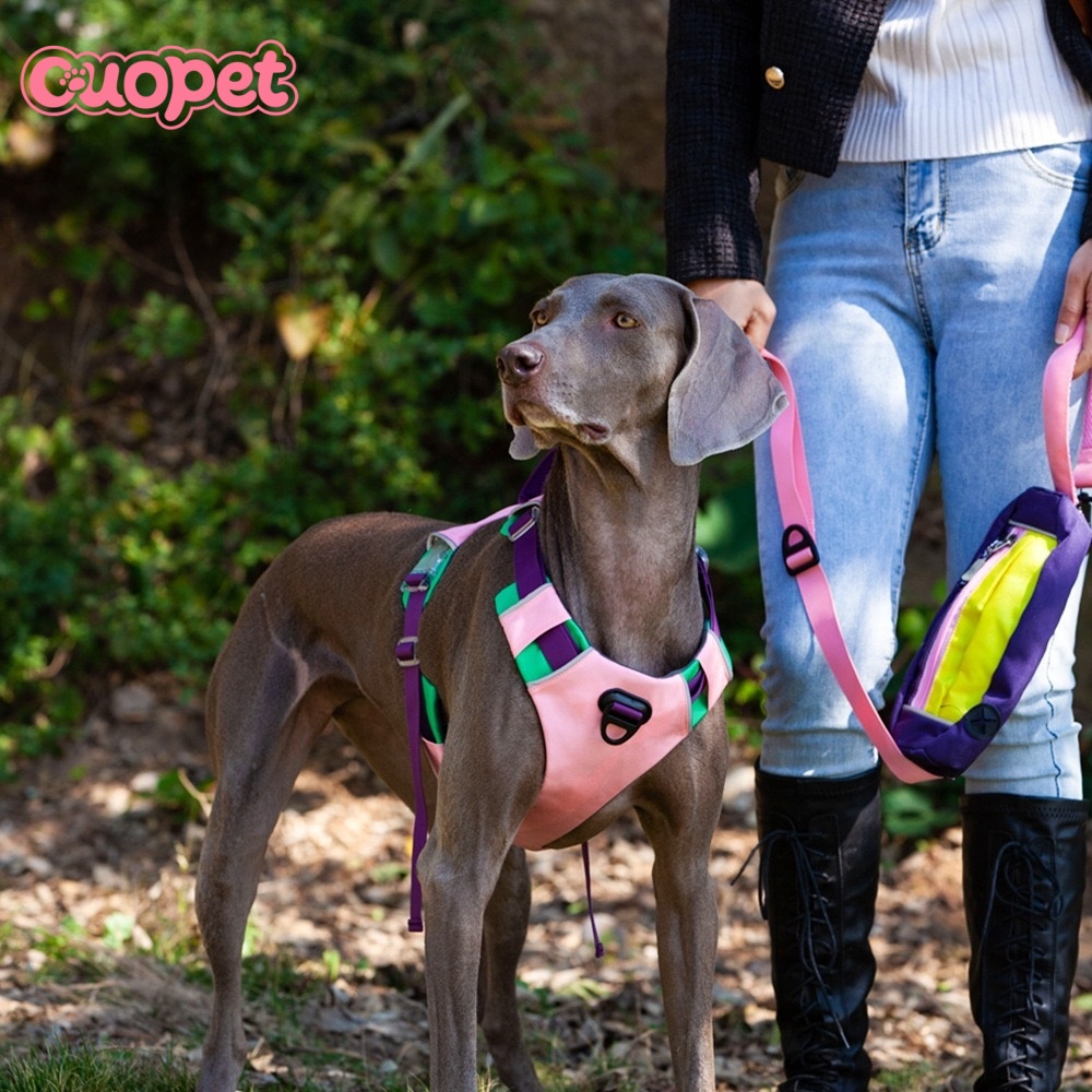 Dog Luxury Harness OP-H11