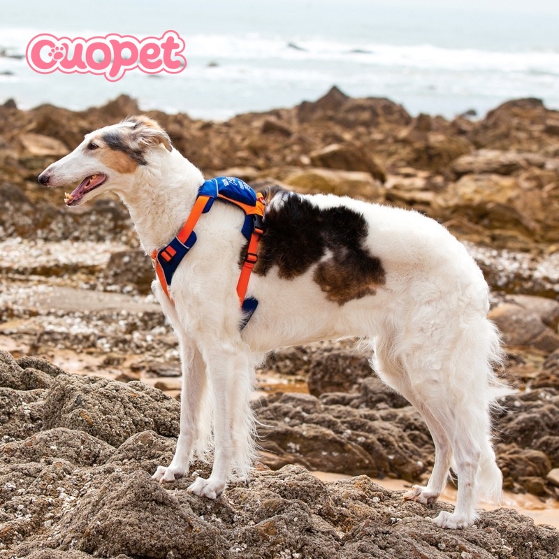 Dog Luxury Harness OP-H10