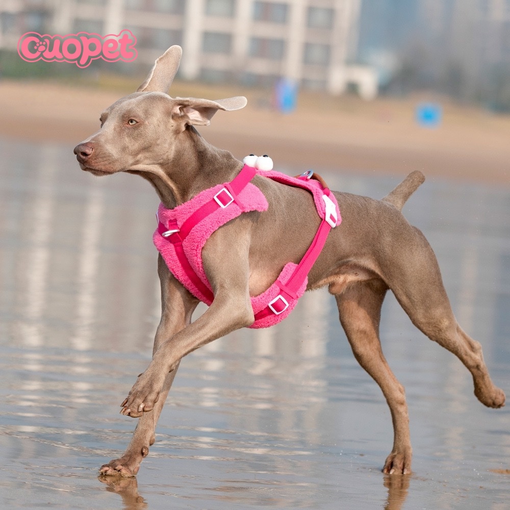 Dog Cartoon Harness OP-H09