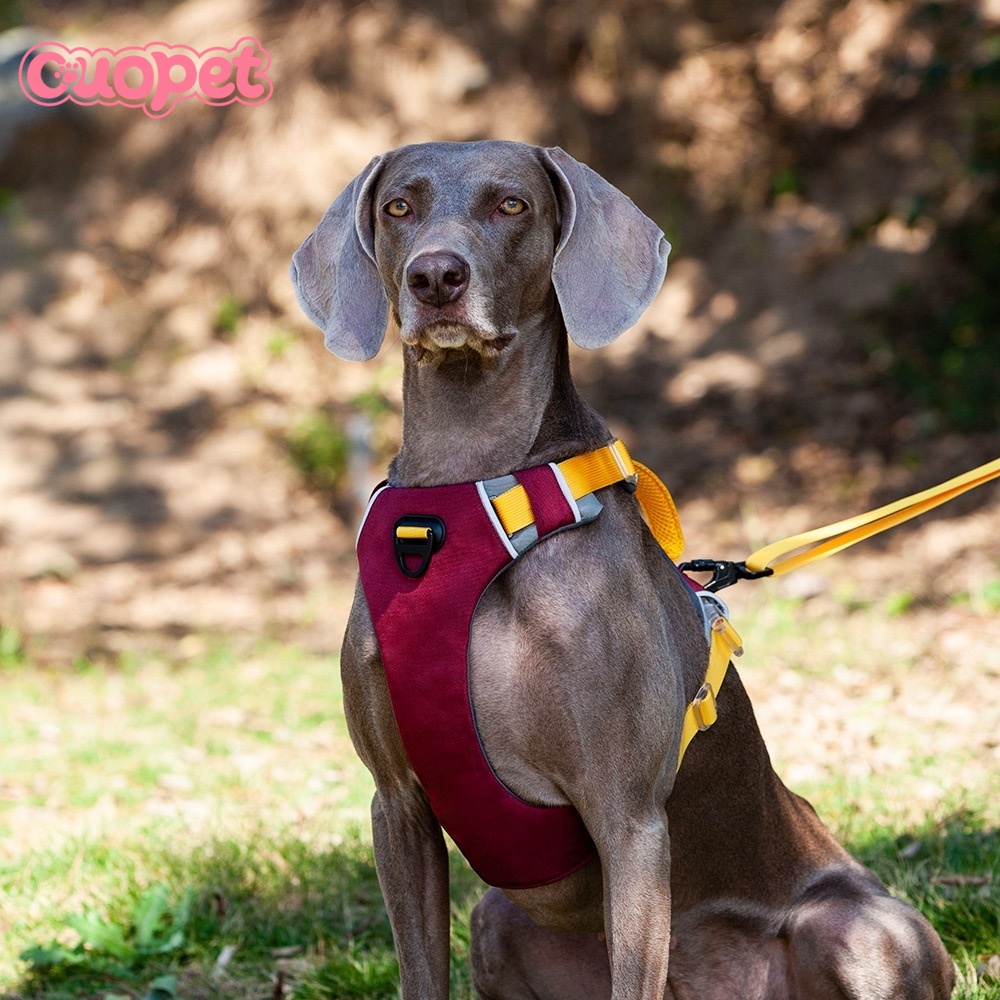 Dog Luxury Harness OP-H11