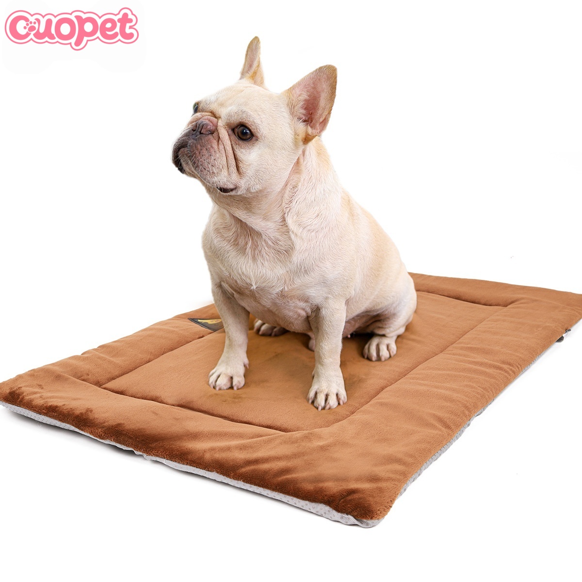 Dog Mat OP-B07