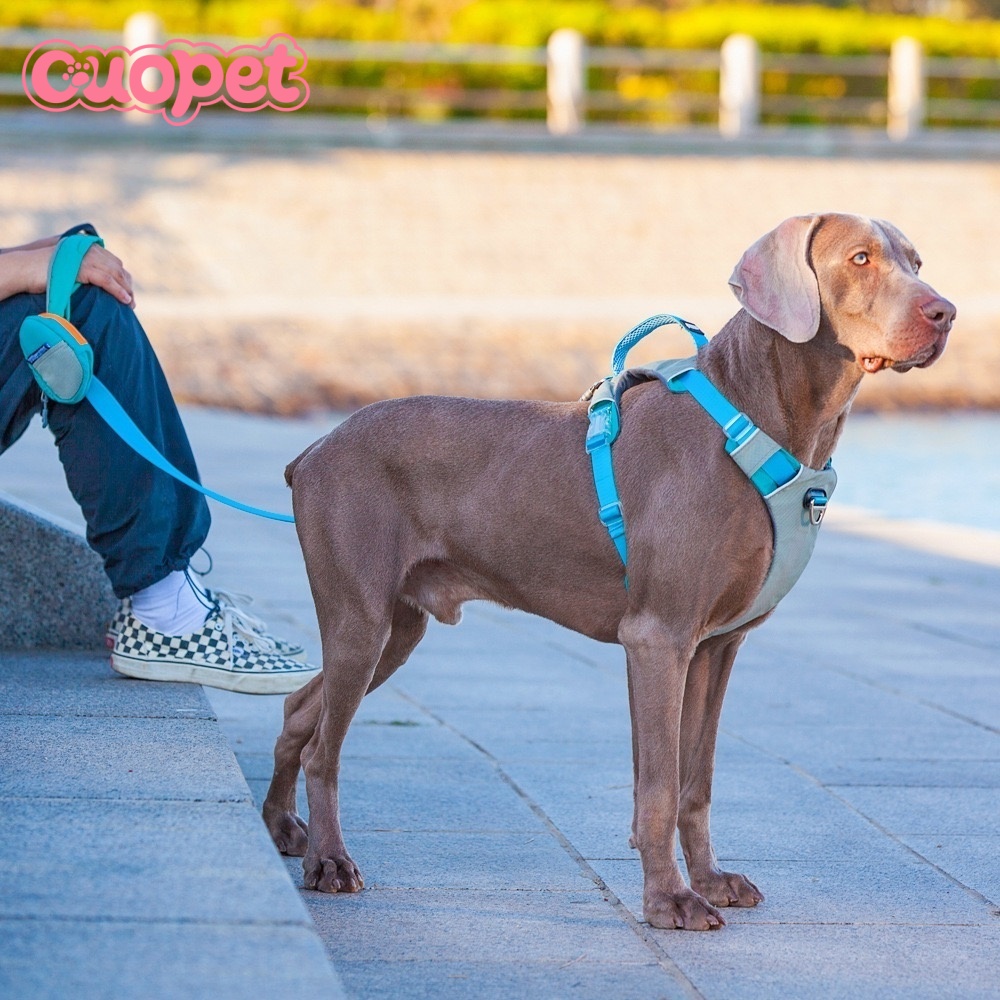 Dog Harness OP-H12
