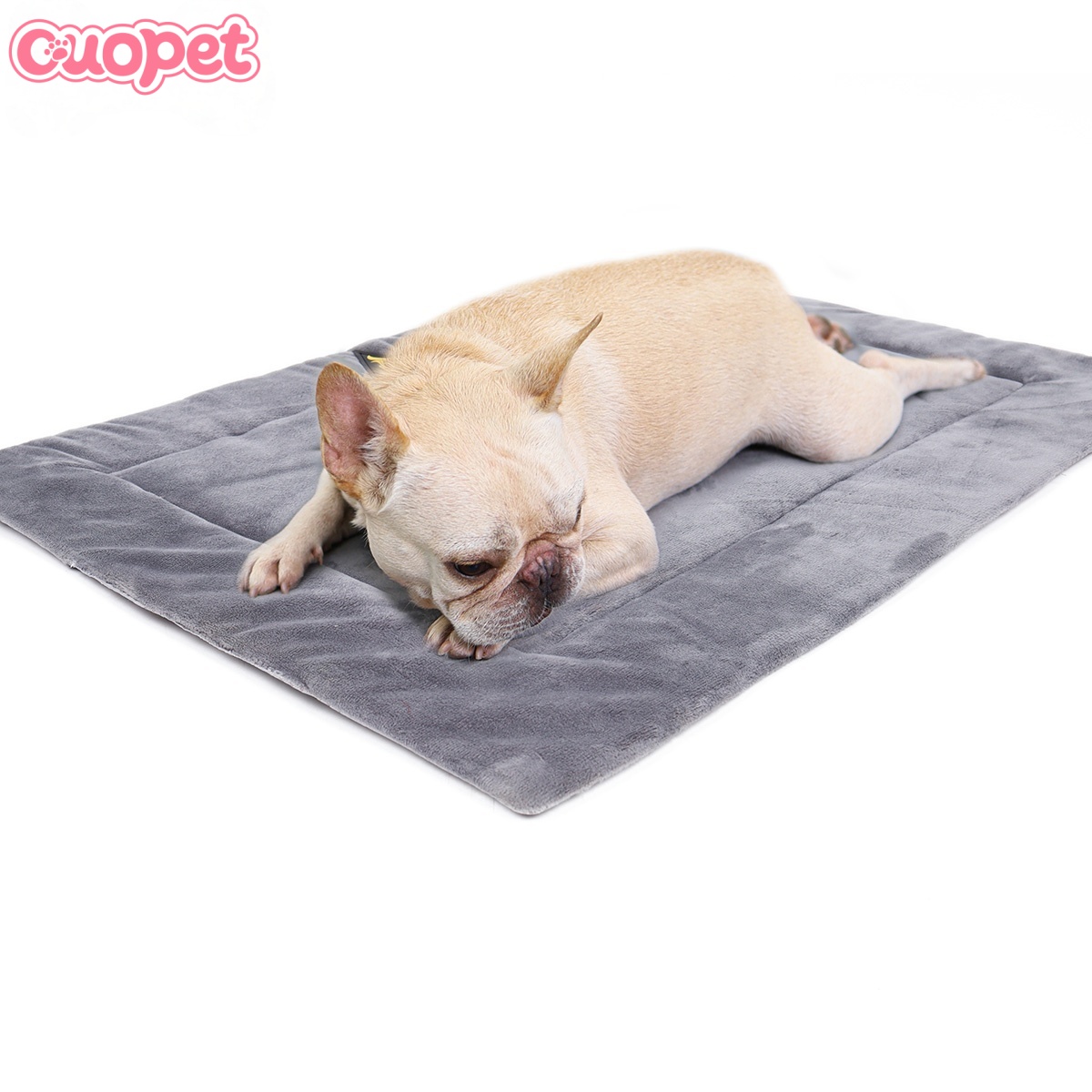 Dog Mat OP-B07