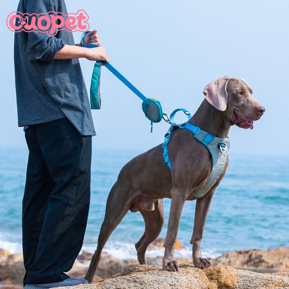 Dog Harness OP-H12