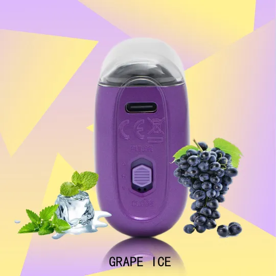 FLUX GRAPE ICE 20000 PUFFS