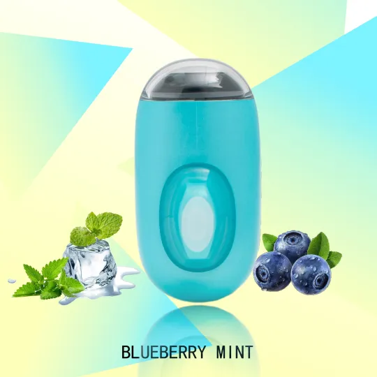 FLUX BLUEBERRY MINT 20000 PUFFS