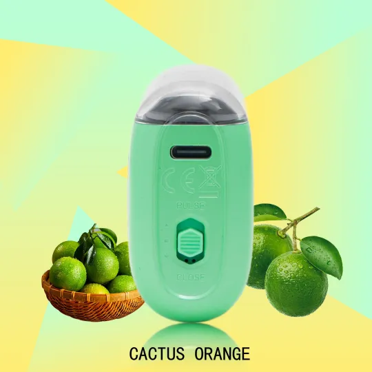 FLUX CACTU ORANGE 20000 PUFFS