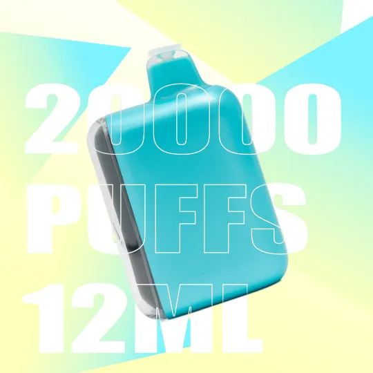 FLUX BLUEBERRY MINT 20000 PUFFS