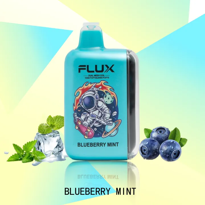 FLUX BLUEBERRY MINT 20000 PUFFS