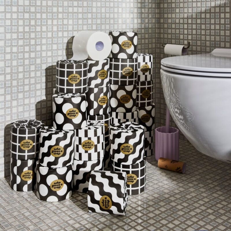 100% Bamboo Toilet Paper, 48 Rolls, 3 Ply, 370 Sheets, Long, Strong & Soft Toilet Tissue, Sustainable, Biodegradable, Renewable, Tree Free Bathroom Tissue Bulk Toilet Paper