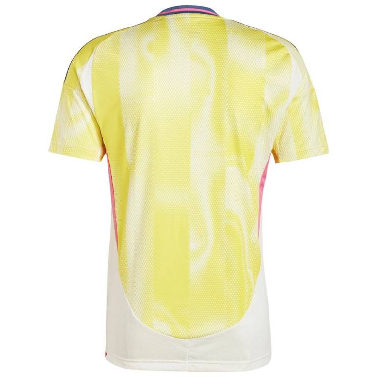 Maillot Juventus Exterieur 2024 2025