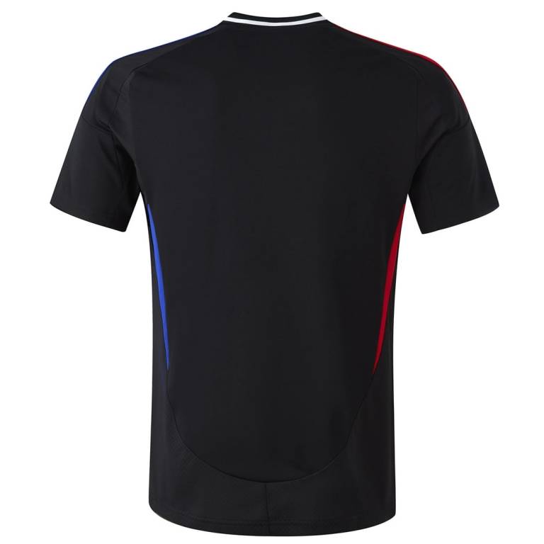 Maillot OL Exterieur 2024 2025 Match