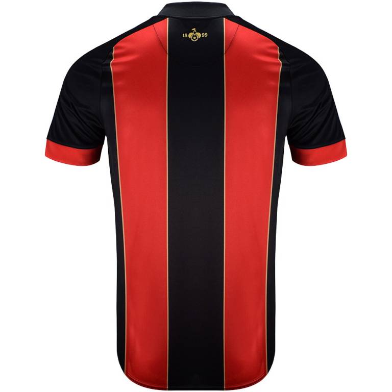 Maillot Bournemouth Domicile 2024 2025
