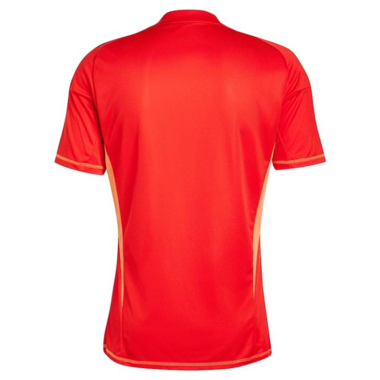 Maillot Juventus Domicile 2024 2025 Gardien