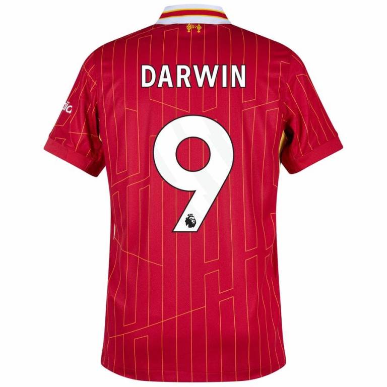 Maillot Kit Enfant Liverpool Domicile 2024 2025 Darwin