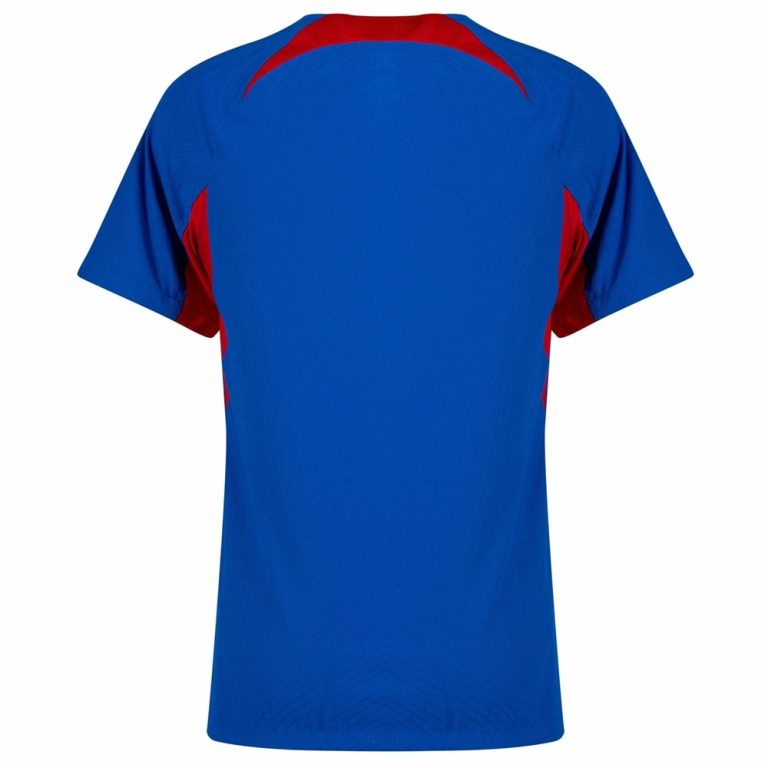 Maillot Slovaquie Domicile 2024 2025
