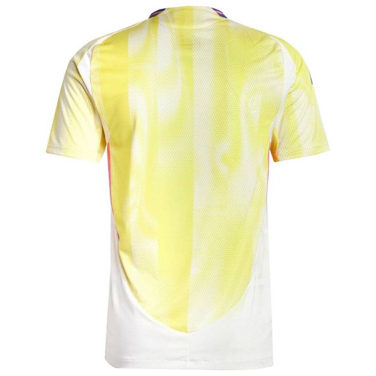 Maillot Match Juventus Exterieur 2024 2025