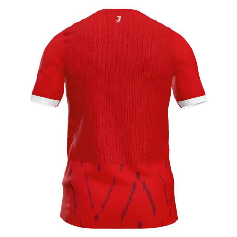 Maillot Freiburg Domicile 2024 2025