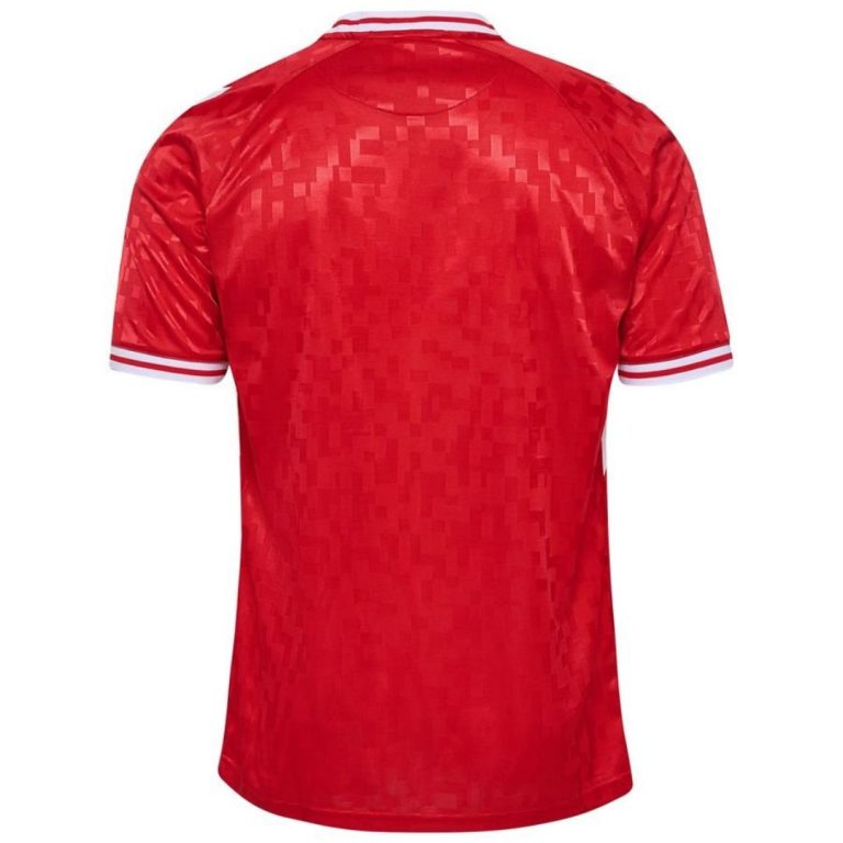 Maillot Danemark Domicile 2024 2025