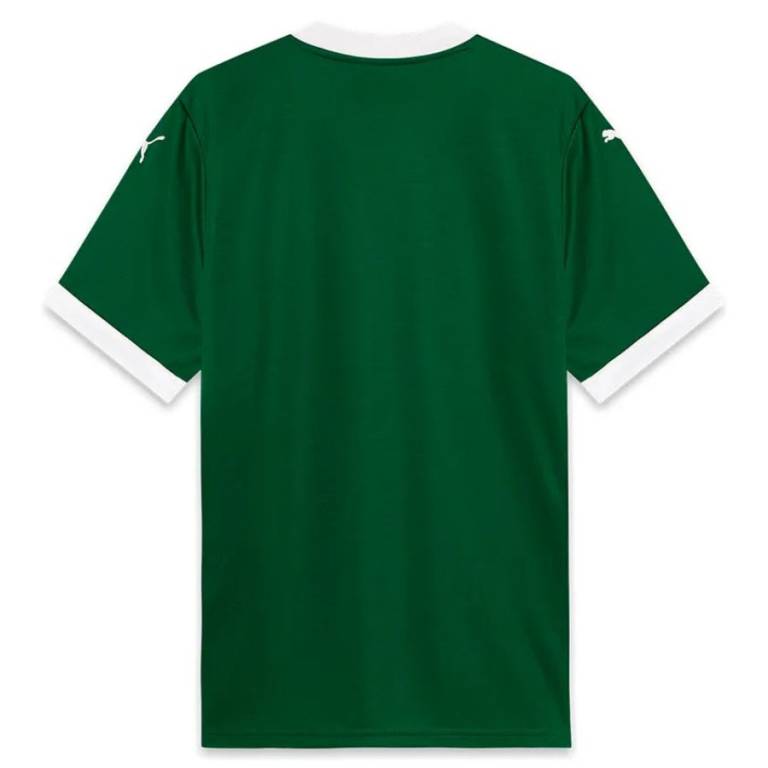 Maillot Palmeiras Domicile 2025 2026
