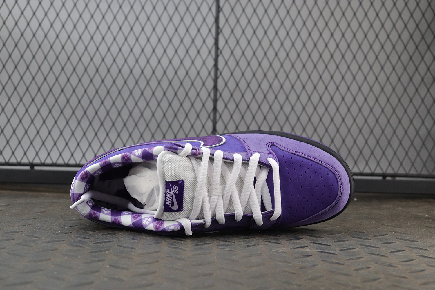 Nike SB Dunk Low Concepts Purple Lobster Regular Box