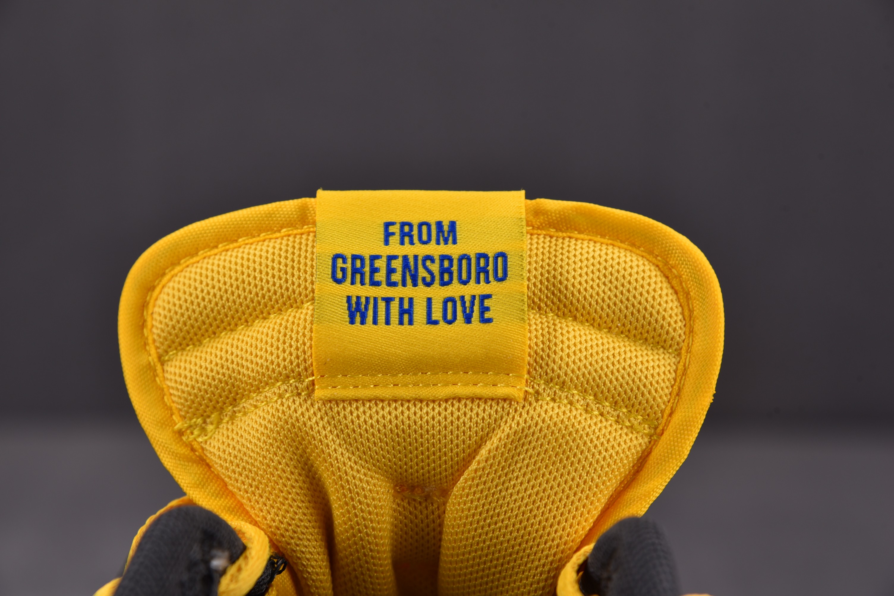 Nike Dunk Low North Carolina A&T