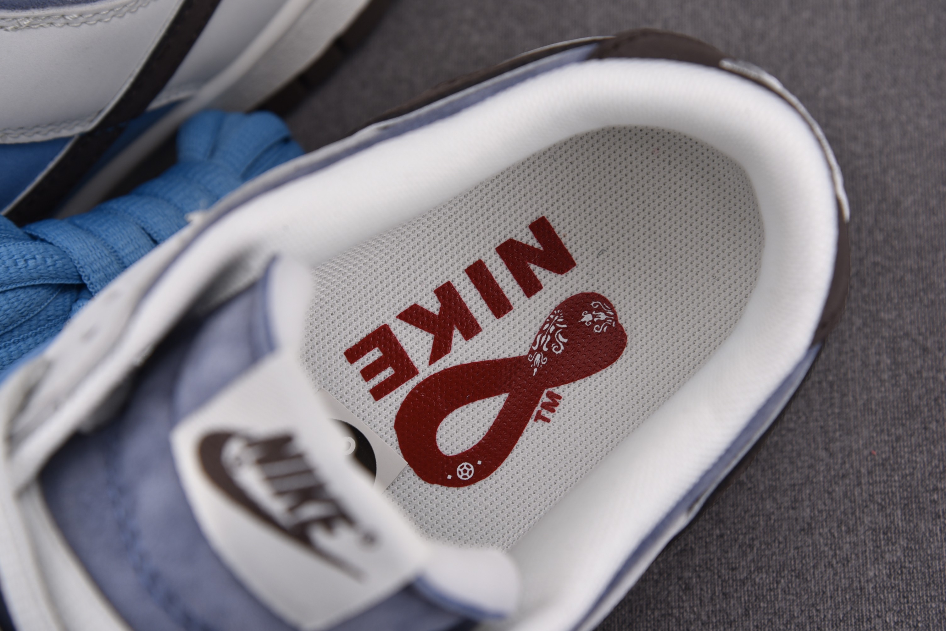 Nike SB Dunk Low Argentina Edition