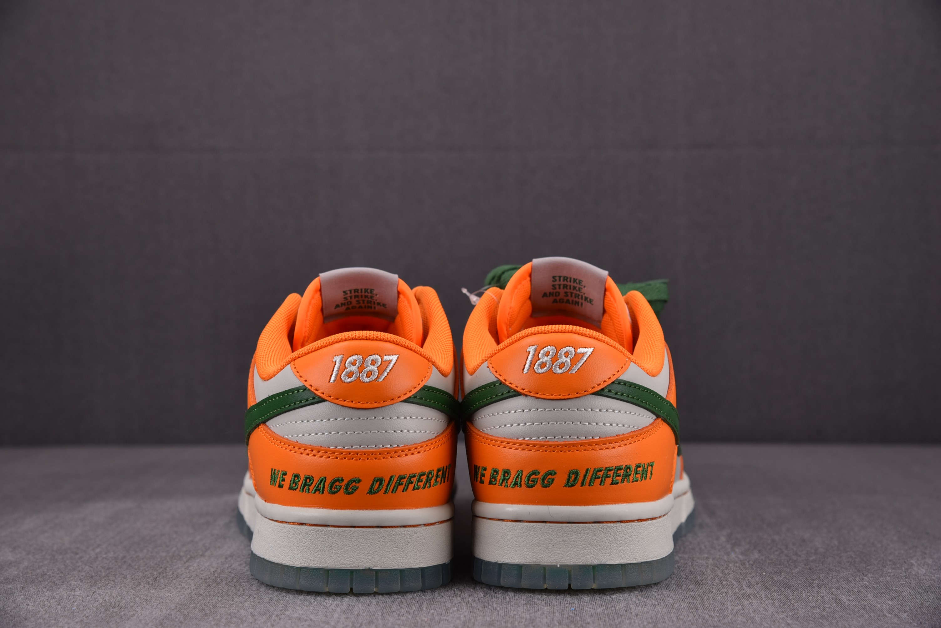 Nike Dunk Low Florida A&M University