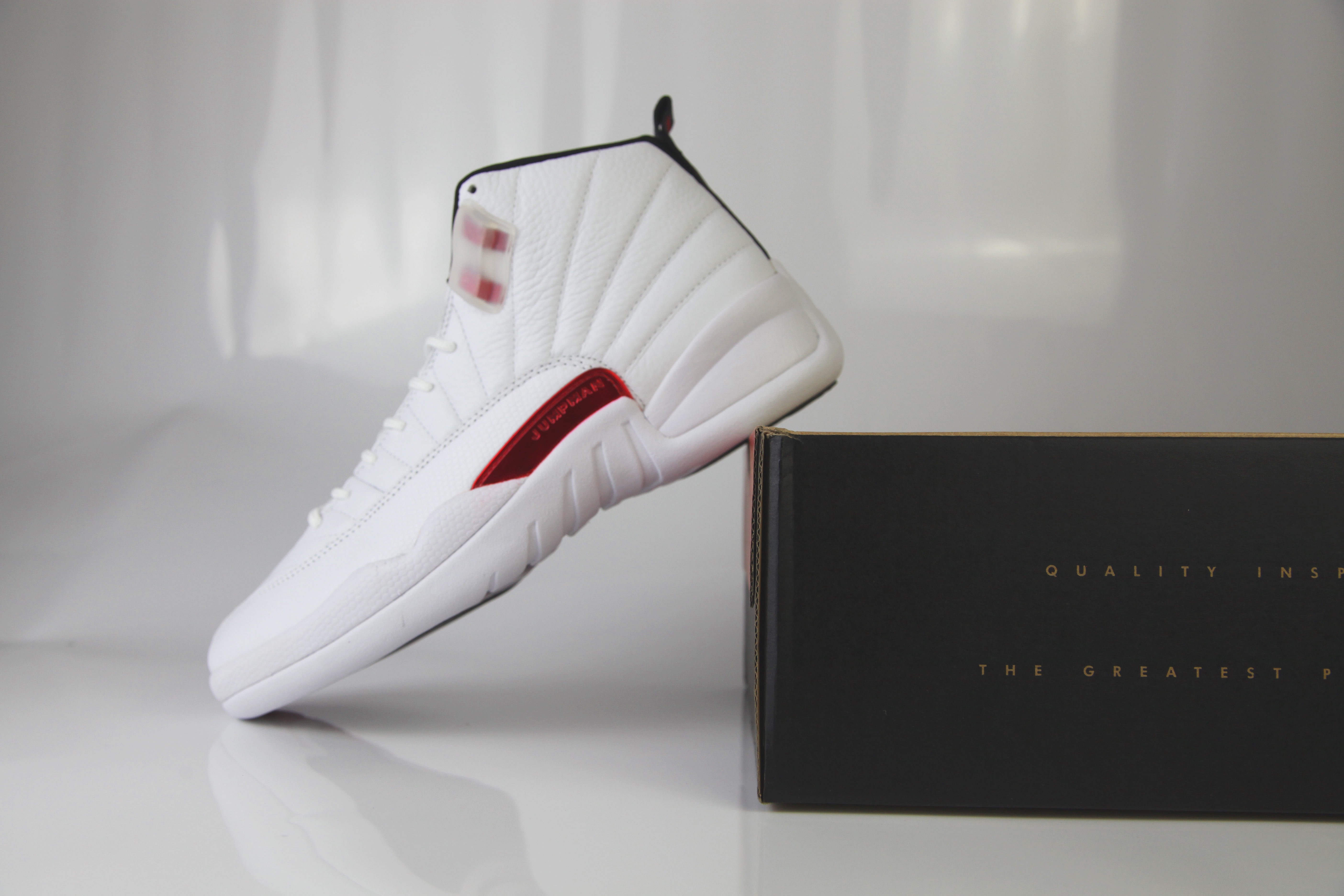 Jordan 12 Twist